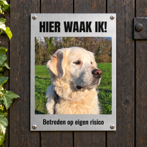 Foto bord